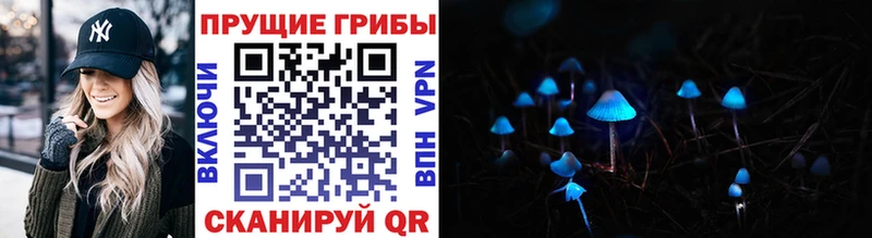ОМГ ОМГ ССЫЛКА  Ялуторовск  Псилоцибиновые грибы прущие грибы 